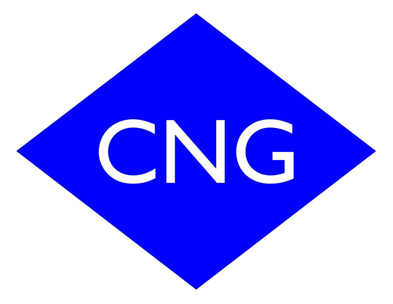 东风风行.菱智plus天然气(cng)版长春地区上市