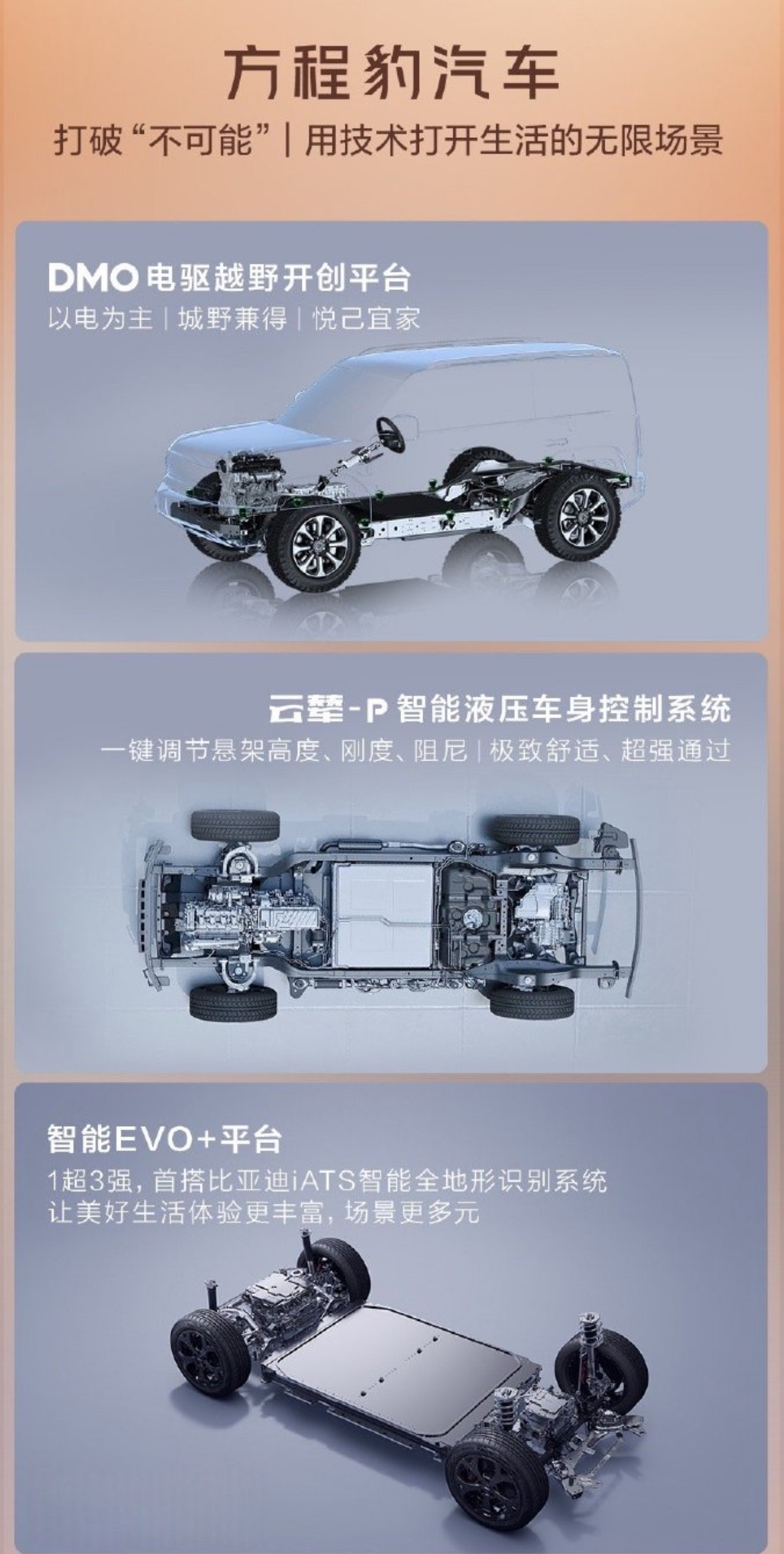 图像6