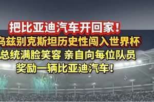 比亚迪这回在乌兹别克斯坦彻底杀疯了！