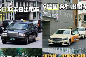 国产汽车品牌霸榜网约车市场，其实网约车才是国民严选的好车！