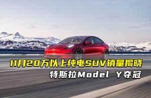 11月20万以上纯电SUV销量榜揭晓 特斯拉Model Y夺冠