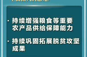 首次提到！中央一号文件释放了哪些新信号？