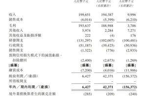 风口IPO｜9个月亏1.5亿，冲刺港股的旺山旺水为啥不“旺”了？