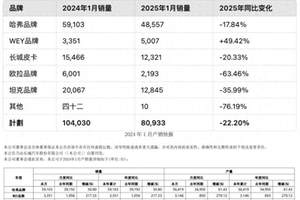 汉家族智驾版上市，开启中大型轿车全民智驾时代