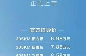 比亚迪海鸥智驾版上市，7 万级高阶智驾代步车开启新选择