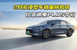 2025年2月紧凑型车销量榜揭晓 比亚迪秦PLUS夺冠