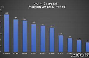 双冠王诞生！比亚迪以绝对优势领跑 1-2月汽车市场