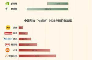 美股“七姐妹”让位！中国科技巨头价值重估正在展开