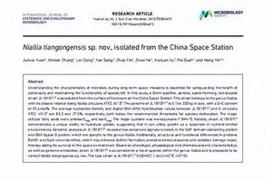 2025第一季度：吉利净利润同比涨264%，燃油车新能源都很强