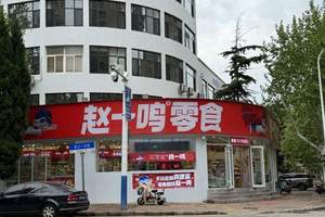 风云A9盲订爆单，它凭什么能捅破C级轿车的天花板？