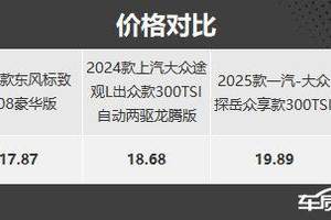 推荐入门版 星途揽月C-DM购车指南
