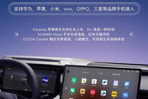 从坚守底线到超越上限，风云A9L定义中国汽车价值高度