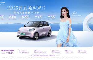 限时先享置换一口价5.38万元起，2025款五菱缤果缤纷上市！