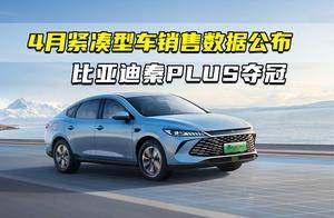 4月紧凑型车销售数据公布 比亚迪秦PLUS夺冠