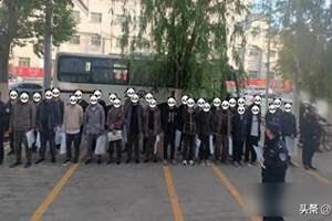 《海尔兄弟》动画续集座谈会召开，跨界共探经典IP焕新之路