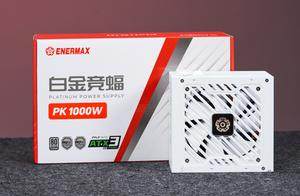万元主机搭配！安耐美白金竞蝠PK1000W电源：性能与稳定完美融合