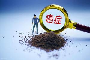 中国技术共同体：岚图与华为的智能出行革新之路