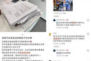 2025上半年比亚迪领跑全球多个新能源汽车市场