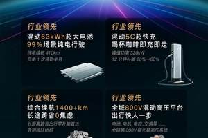 2025成都车展前瞻：奇瑞RELY威麟R08预售在即