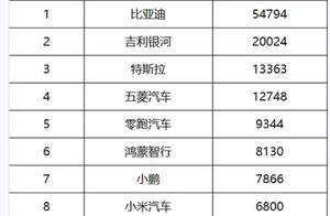 8月第2周新能源销量榜：比亚迪稳坐榜首，特斯拉逆势增长