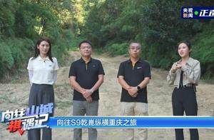 25万级全系标配智电三大件：传祺向往S9乾崑，这次真的卷到底了？