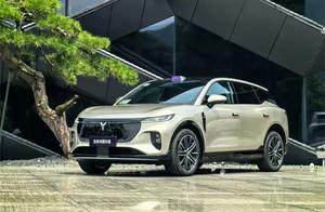 华为全家桶配齐，空间堪比大型SUV，全新知音卖贵了吗？