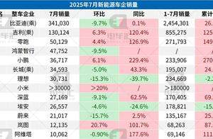 7月新能源汽车销量：比亚迪34.1万辆、吉利13万辆、零跑5万辆……