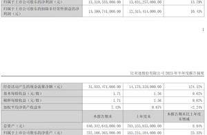 比亚迪2025年上半年财报：营收3713亿元,同比增长23%，首超特斯拉