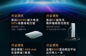 全域800V高压混动技术成就行业新标杆 岚图发布岚海智混