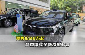 预售价22万起 静态体验全新岚图知音
