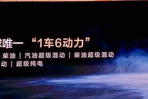 豪华车渠道重构进行时：奔驰奥迪展厅挂上中国标
