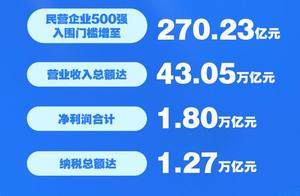 “2025中国民营企业500强”发布
