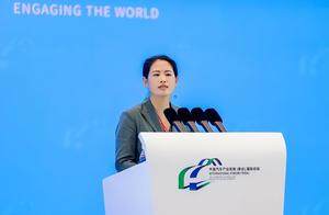 “十五五”是中国汽车品牌成为世界品牌的关键期