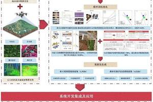 远程异地评标，湖北首例执行、首个“点亮”