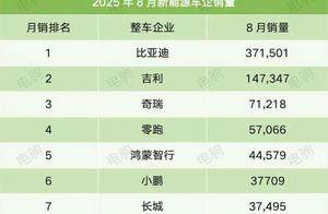 8月新能源车销量榜：零跑、蔚来飙升，比亚迪领先