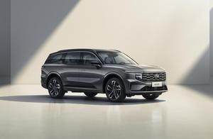 年末买家庭 SUV 别乱选！锐界L满足全家需求才合格