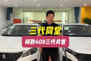 法系车的遗憾是三代同堂的冠军车型，有产品力没销量