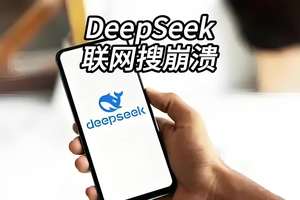 麻烦红衣大叔尽快协助DeepSeek修复联网搜索的功能