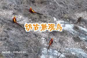 春节期间乃至整个2月，去山西自驾建议带上长焦镜头。