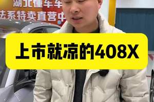 生不逢时上市就凉的408X为什么销量如此惨淡 408X方方面面应该是要比凡尔赛好的，销量却很差#法系车 #408X #懂车车