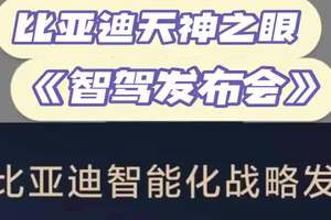 比亚秦L天神之眼，预计10号发布 #比亚迪 #新能源 #dou是好车 #国产车 #比亚迪秦l