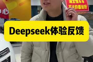 Deepseek的强大超过我的想象，体验反馈来啦 以后用Deepseek算命一定很准#法系车 #懂车车