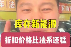 折扣力度比法系还大的新能源，性价比确实高 天逸的价格能够买岚图ferr 的库存新能车，性价比确实高#法系车 #岚图free #懂车车