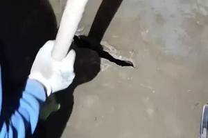 #洛阳古墓 #倒斗 #洛阳特产洛阳铲