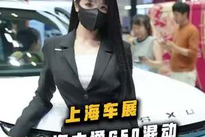 一台大七座的MPV，既要空间也要安全还要超长续航？那只能选这台