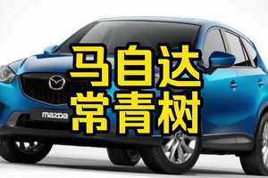每日一车：马自达常青树