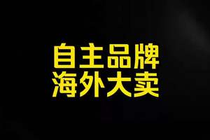 每日一车：自主品牌海外大卖