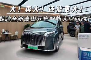 大！再大！还能更大！魏牌全新高山开启智能大空间时代