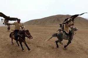 中字头的旅游目的地，国之大道G219上的阿合奇县，是中国猎鹰之乡