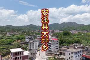 安溪县大坪乡，空气弥漫着茶香的味道。